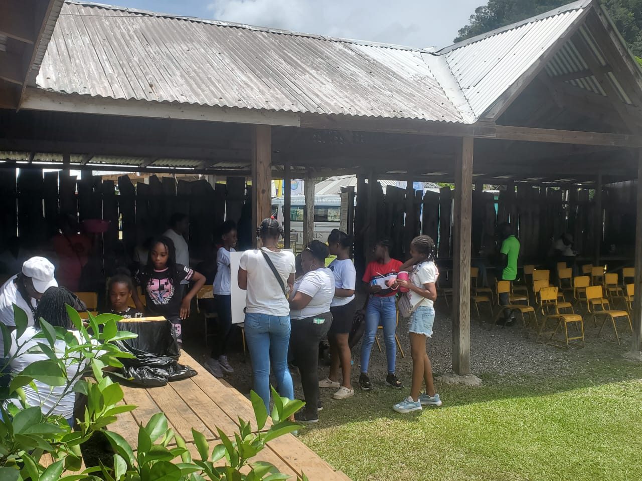 Day 1 at the Asafu Yard